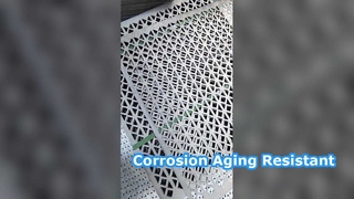 Real Inventory Perforated Mesh What You See Is What You Get